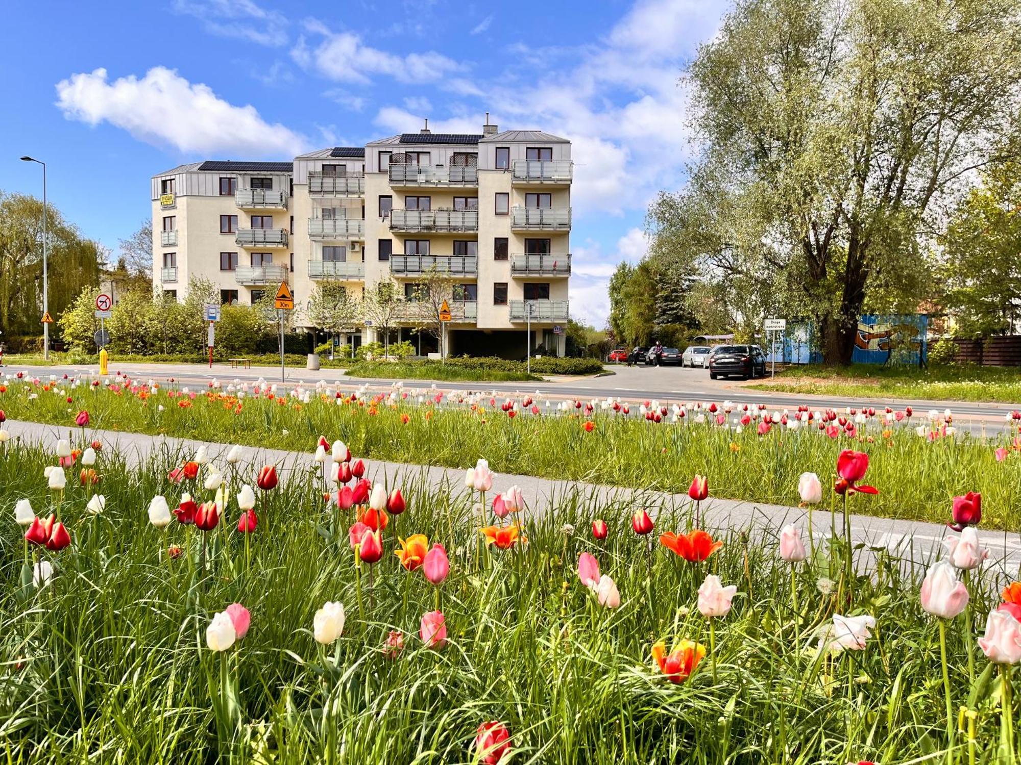 Apartament Roentgena 16 Przy Centrum Onkologii I Klinice Novum 바르샤바 외부 사진
